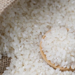 吃粳稻有哪些好处 吃粳稻有哪些禁忌