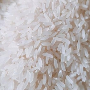 吃籼稻有哪些好处 吃籼稻有哪些禁忌